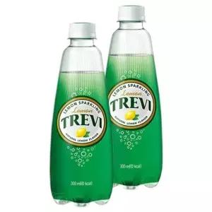 니엘 롯데 트레비 레몬 300ml x 20페트 자몽
