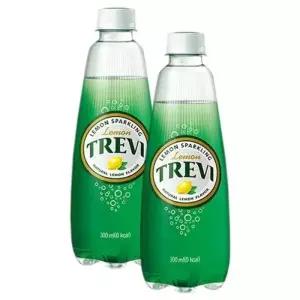 이덴 롯데 트레비 레몬 300ml 20PET 자몽