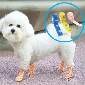 테이프신발 반려견 발밴드 미끄럼방지 강아지 테이프 양말 붕대신발 접착붕대