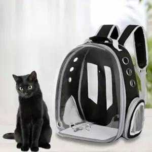 반려동물 투명 백팩 고양이 강아지 외출 이동가방