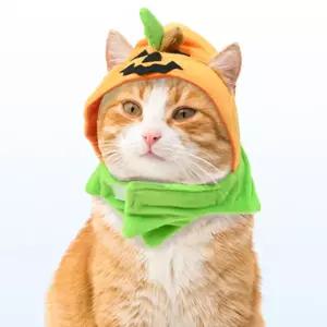 해피파티 펫 할로윈 강아지 호박 모자 애완견 애견 반려견