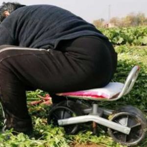 회전 밭농사 농업 작업의자 고추의자 상추의자