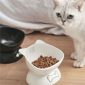강아지 식기 고양이 밥그릇 높이조절 높은 세라믹 도자기 물그릇 사료