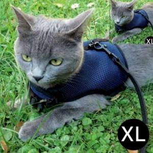 네이비 반려견산책줄 XL 고양이 강아지용 조깅 중형견하네스 하네스