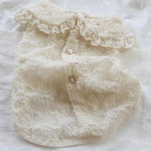 강아지 지지미 실속형 카라 셔츠 크림 1P 레이스 블라우스