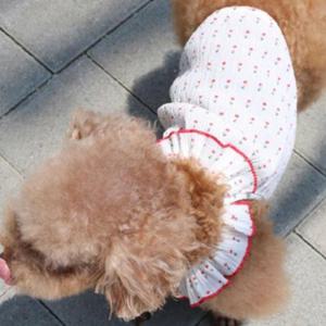 강아지 퍼프넥 에센셜 슬리브 나시티 체리 2XL 1P 지지미