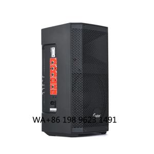 10인치 목재 DSP 파워드 스피커 150W RMS 배터리 작동 방수 디자인, 아웃도어 고해상도 오디오 성능 제공