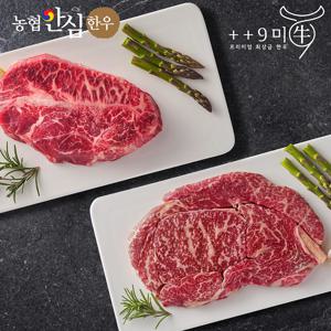 [구미우] 1++9등급 한우 등심 250g+부채살 250g 구이용 냉장