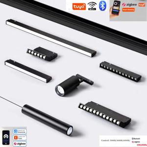 2.0 유형 스마트 마그네틱 트랙 라이트 Tuya Zigbee 3.0 DC48V LED 통 스팟 홍수 그릴 램프 Mordern 홈 거실 블랙 ﻿