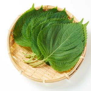 친환경 무농약 깻잎 세트 내한성 채소 녹색 식품 100g 봉 6개