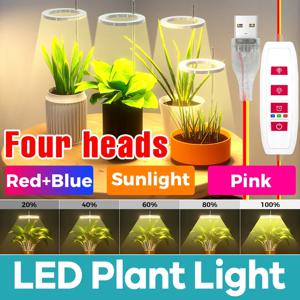 LED 식물 성장 빛 USB 5V 전체 스펙트럼 수경 디밍 가능 타이머 자동 켜기/끄기 선인장 꽃 즙이 많은 성장 재배 램프