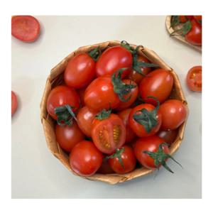 [푸디앤] 자일리톨 대추 방울토마토 1kg - 2kg
