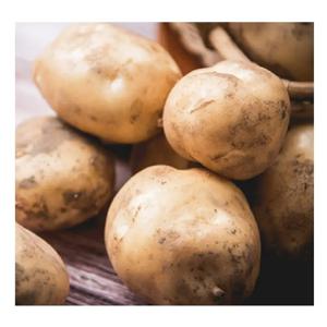 [푸디앤]  햇 수미 감자 1kg-10kg