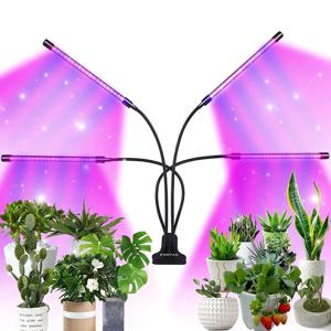 5v USB LED 식물 성장 빛 전체 스펙트럼 수경 전구 LED 실내 식물 빛 온실 야채 꽃 성장 빛 성장 상자