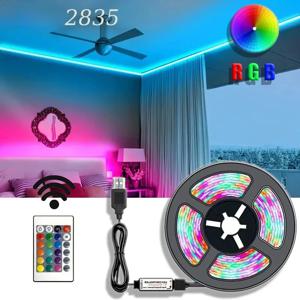 2835 45LEDs/M LED 라이트 스트립 24키 IR 리모컨 DIY 백라이트 TV 라이트 벨트 유연한 캐비닛 라이트 홈 데코용