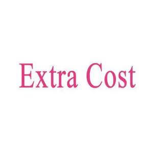 우편 등록 항공 우편 또는 AliExpress 표준 배송 또는 ePacket 비용 잔액에 대한 특별 링크