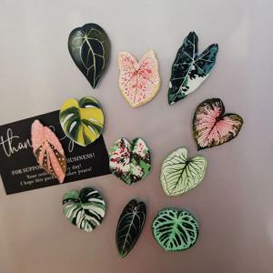 6pcs 베고니아 Monstera 자기 냉장고 자석, Kawaii 열대 식물 냉장고 자석, 화이트 보드 자석