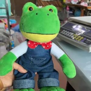 25cm 스팟 만화 귀여운 마법 표정 개구리 봉제 인형 25cm 개구리 봉제 인형 어린이 선물 장난감 부드러운 긴 다리 도매