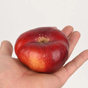 납작복숭아 천반도 못난이 1kg 4~10과