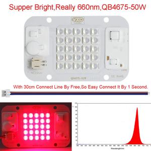YXO 드라이버리스 LM283B 풀 스펙트럼 LED 식물재배등 칩 DOB AC COB 모듈 50W 램프 비드 드라이버 불필요 실내 식물용