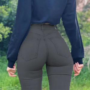 슬림핏 하이웨이스트 힙업 청바지. 사계절 여성용 새로운 세련된 탄성 편안한 꽉 작은 다리 청바지