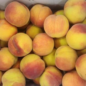 (최고 품종 선별 산지직송) 달콤 쫀득 말랑한 황도/백도 복숭아 4kg(25~30과 내외)  품종/랜덤 특가 이벤트