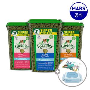 필라인 그리니즈 대용량 595g (택1)+캣닢쿠션+베베숲물티슈1팩