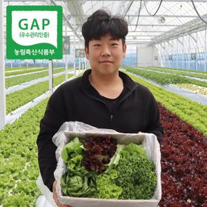 [GAP인증]유럽샐러드 모듬쌈채소 1kg (4-8종) 무료배송 당일수확