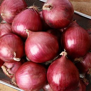 무안 자색양파 3kg(중대혼합)