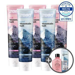[애경] 2080 히말라야 퓨어 솔트 치약 150g x5개