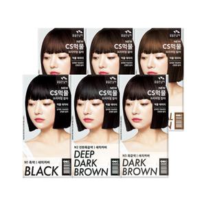 꽃을든남자 CS먹물 프리미엄 새치커버 염색약 염모제 6종 x 4개