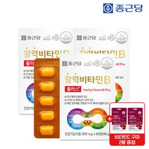 종근당 활력 비타민B 플러스 3박스(6개월분)+비타C1000구미 포도맛 2봉