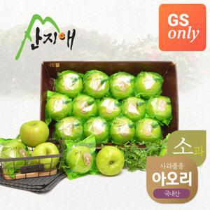 [GS단독]산지애 어린이 초록사과(아오리) 2.7kg