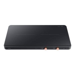 삼성전자 삼성전자 더 플레이트 인덕션 2구 블랙 NZ62DG300CFK