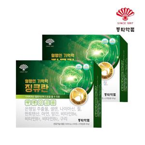 [동화약품] 혈행엔 기억력  징큐란 2박스 8개월분 (500mg x 240정) / 징코