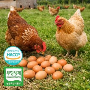 [난각번호 1번] 파손보장 HACCP인증 무항생제 동물복지 유정란 60구 [SMN]