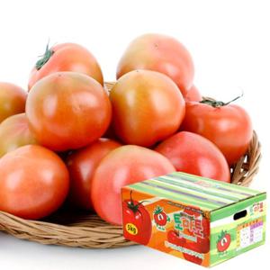 [농협공판장] 정성드린 찰토마토 5kg(1-2번과)