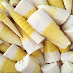 [오늘의채소] 국내산 삶은 맹종 죽순 500g 내외 x 2팩