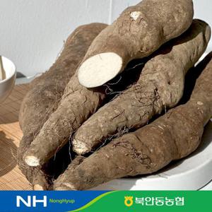 [농협인증] 안동 참마 (상품)3kg