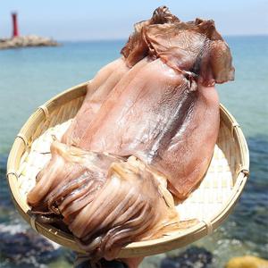 [산지직송] 반건조오징어 10미(650g내외)