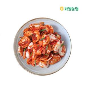 갤러리아_[화원농협] 이맑은 양파김치 5kg