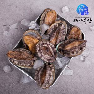 [TV쇼핑] 완도활전복 특대사이즈 21미(마리당 80g~100g내외) 총 1.68kg이상