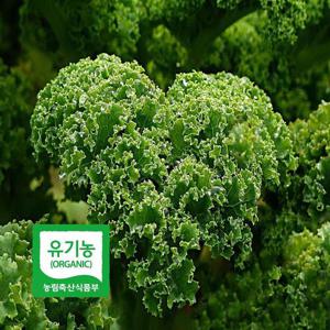 초록초록팜 국내산 유기농 곱슬 케일 2kg 신선채소 산지직송 샐러드용 즙용 건강 야채 친환경 ZU