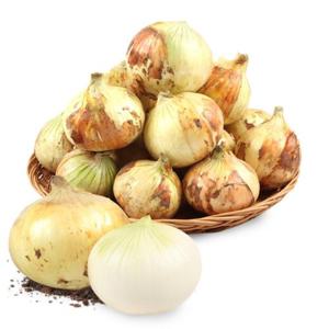 [농협공판장] 신선 양파 3kg(특)