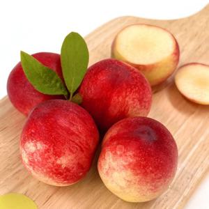 [자연의정]프리미엄 햇사레 황도 복숭아 로얄 대과 2kg 8-9과 내외
