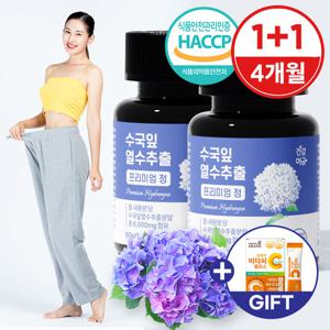 [건강머금] 수국잎 열수 추출물 수국 국내산 프리미엄 60정 1+1병(4개월분)