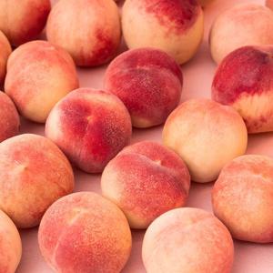 [과일꾼] 산지 직출하 고당도 대극천 납작복숭아 1kg 6-9과