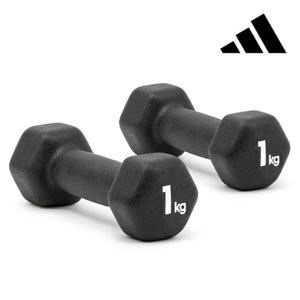 아디다스 육각 아령 1kg 세트 덤벨 홈트 홈트레이닝 근력 운동 기구 용품 상체