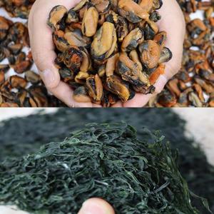 국내산 건홍합 500g + 채다시마 100g