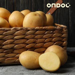 갤러리아_[온도씨]국내산 수미 햇 감자 10kg 왕특